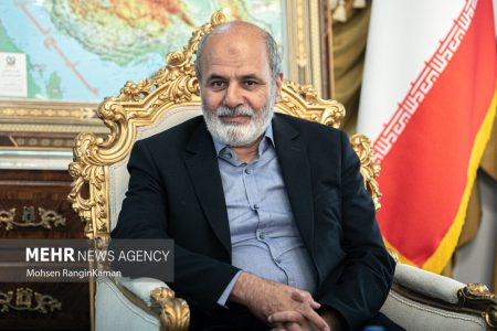 سخنگوی انصارالله یمن با دبیر شورای عالی امنیت ملی دیدار
کرد