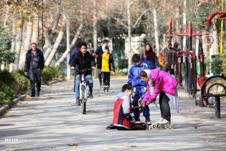 دستاورد محققان ایرانی برای ارتقای شناختی بیماران اوتیسم بدون
دارو