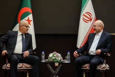 کشورهای اسلامی از ظرفیت‌های خود برای حمایت از فلسطین استفاده
کنند
