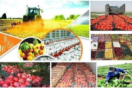 ۴۲ درصد صادرات ایران به اوراسیا، محصولات غذایی و کشاورزی
است