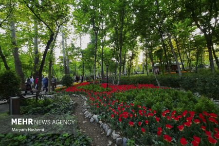 همه بوستان‌ها برای روز طبیعت باز است
