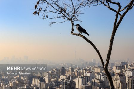 کیفیت هوای تهران در شرایط قابل قبول