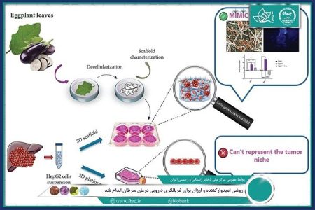 ابداع روشی امیدوارکننده و ارزان برای غربالگری دارویی درمان
سرطان
