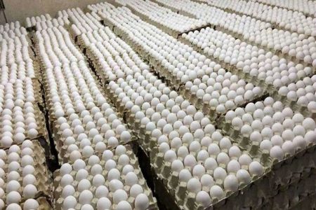 قیمت تخم‌مرغ پوسته سفید در میادین و بازارهای میوه و
تره‌بار