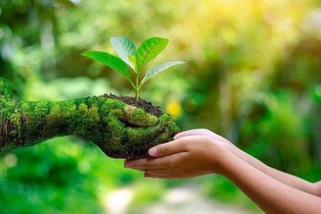 درخواست دارنده جایزه ملی محیط زیست از پزشکیان چه
بود؟