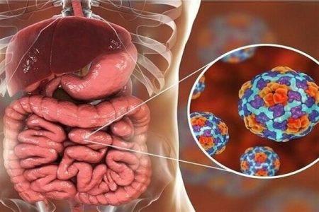 شیوع نوروویروس ۱۴۰ نفر را در ژاپن بیمار کرد