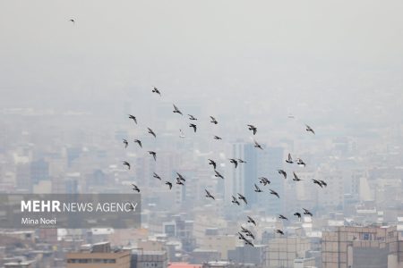 هشدار نارنجی هواشناسی؛ شاخص آلودگی در آستانه
«خطرناک»